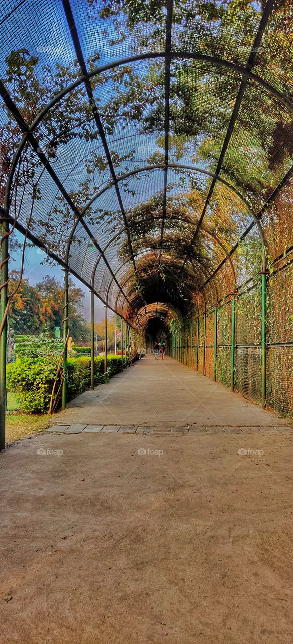 sneh botanical garden, surat