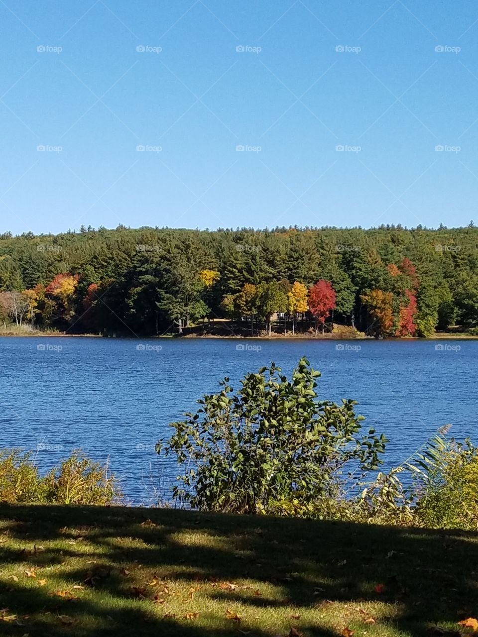 View of autumn trees and idyllic lake