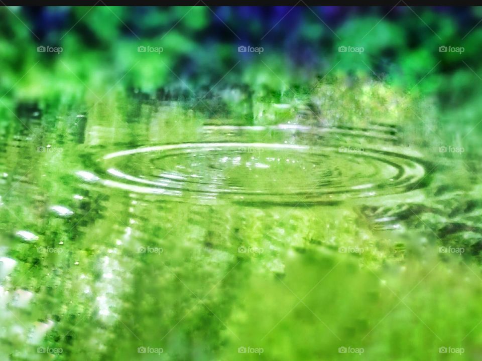 green tree water reflection on ripping water