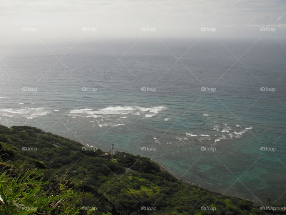 Coral reef below Diamond Head. 