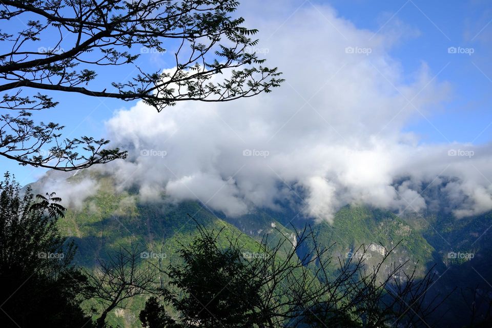 Life and art in visual impressions