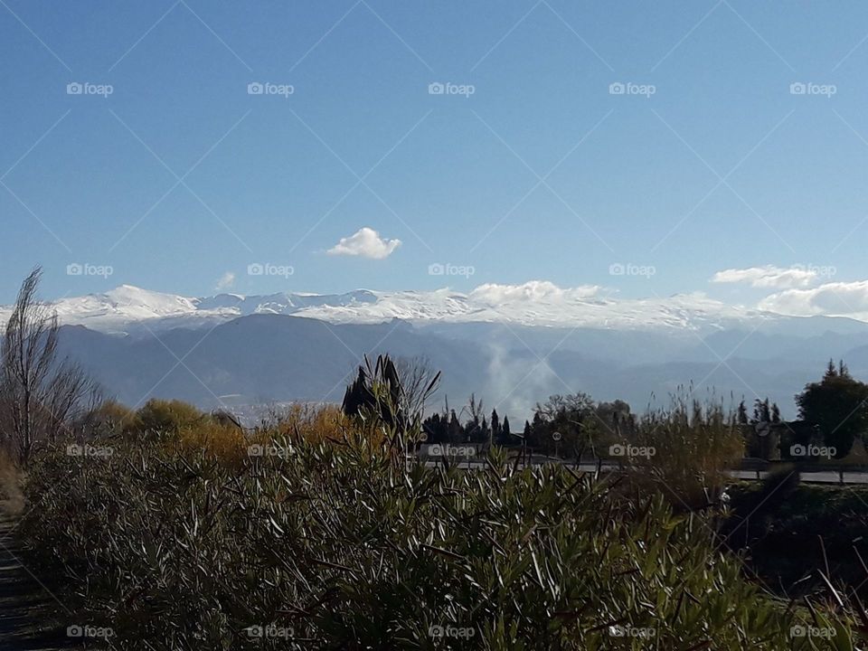 Un bello paisaje de la Vega de Granada, con la Sierra Nevada como fondo, coronada por algunas nubes blancas como algodones.