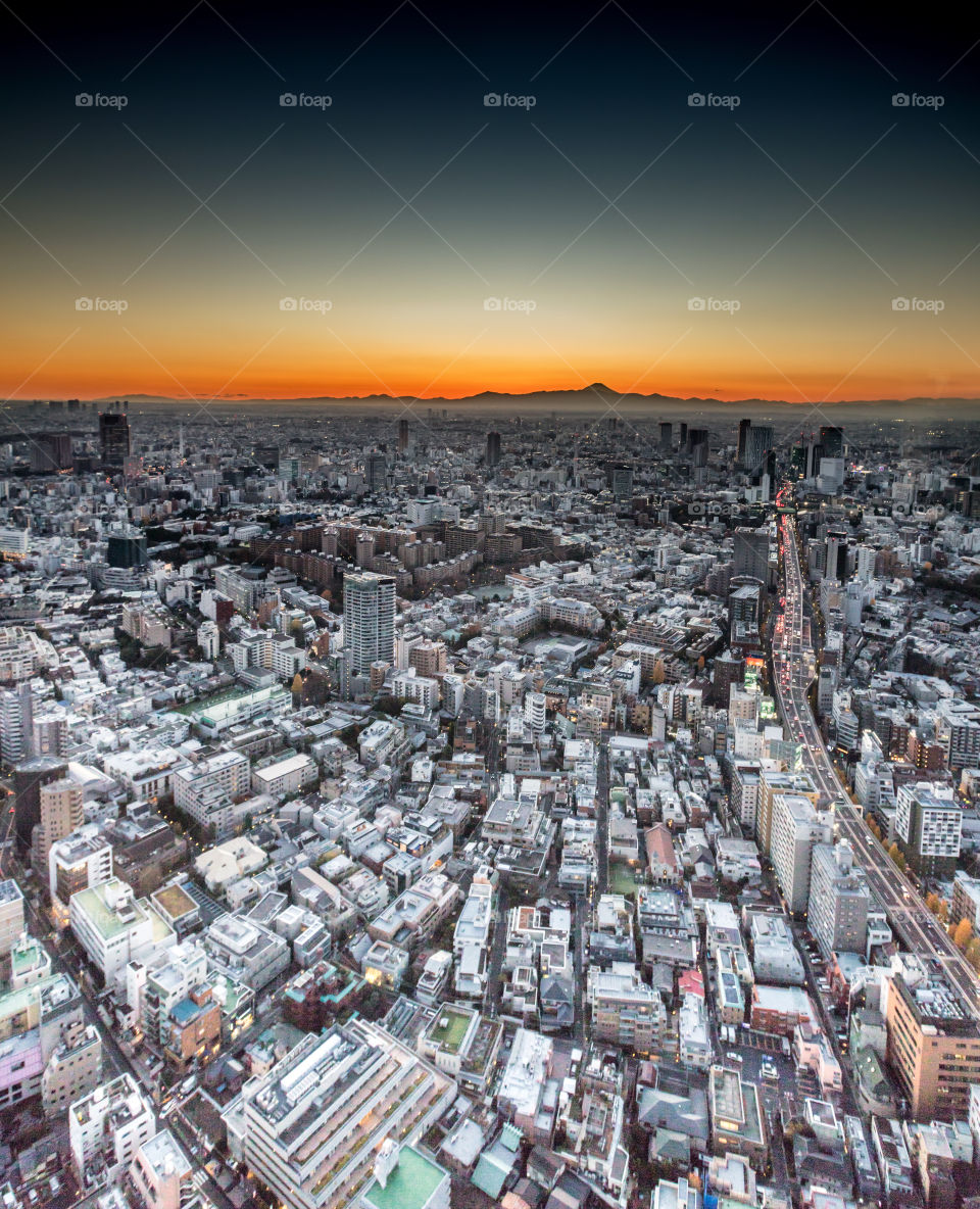City of Tokyo from above with Mount Fuji in the distance