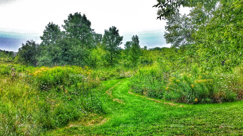 Farm Field