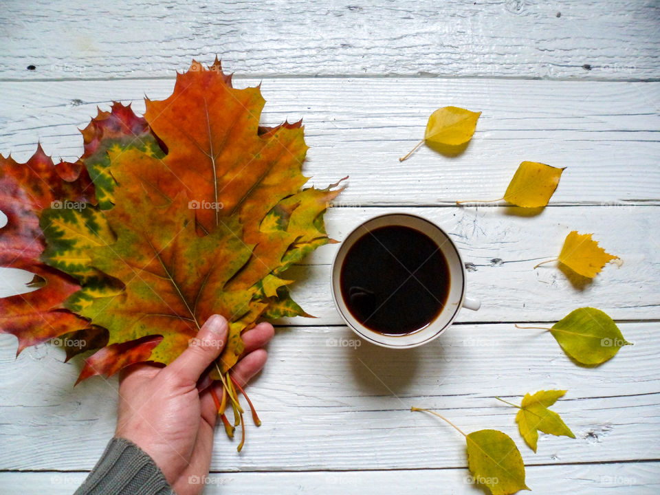 Person's hand holding maple leaf near coffee cup