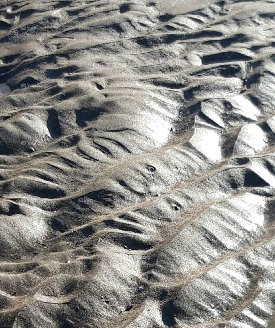 Beach of Villerville Normandy