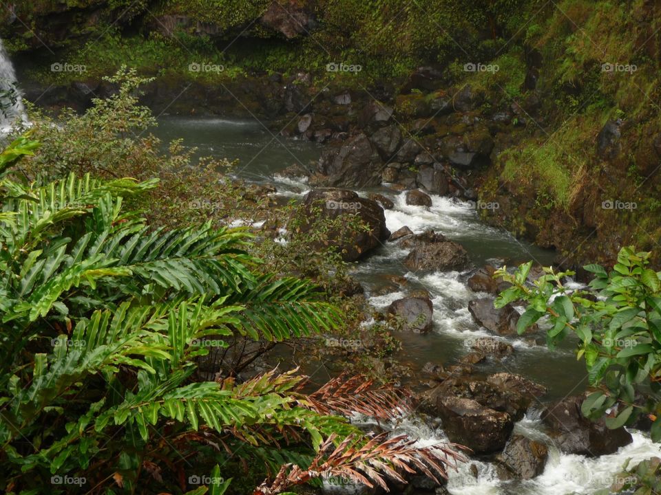 Maui, HI