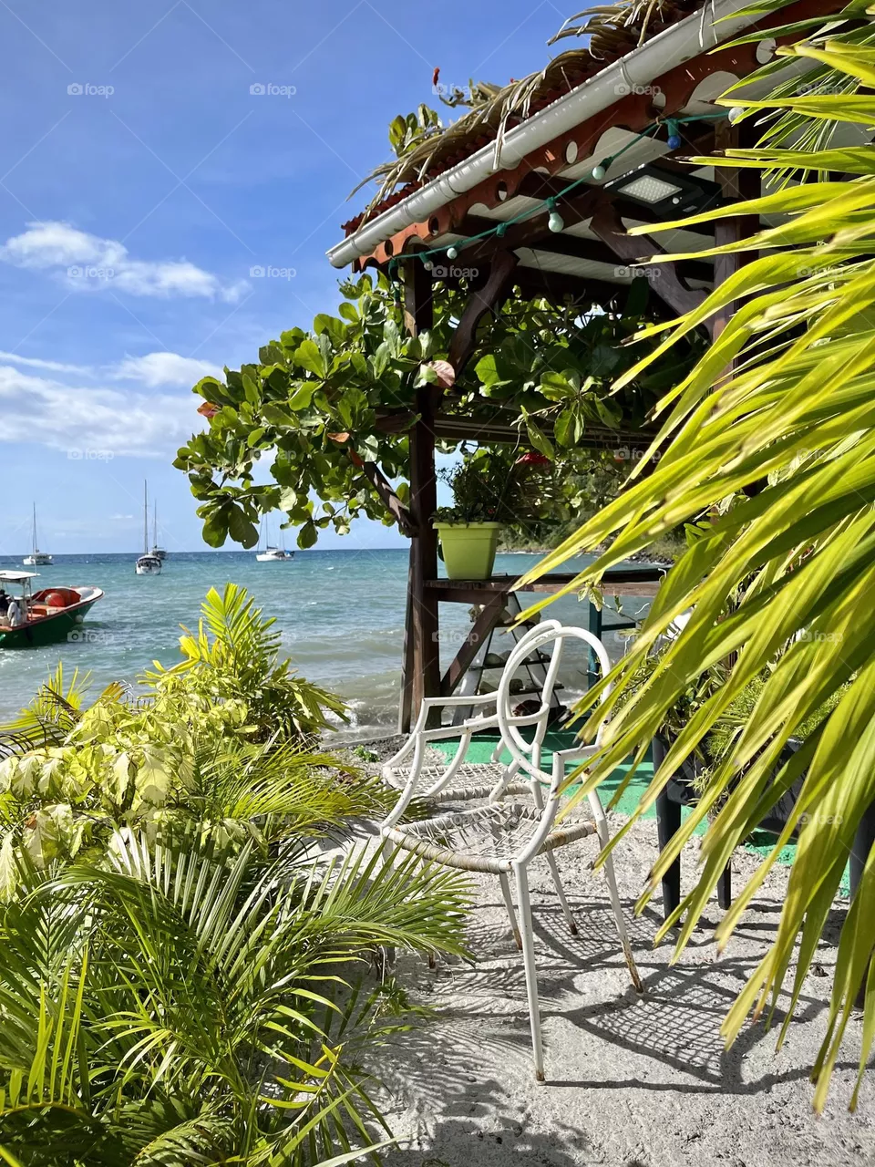 Scene of the French Caribbean