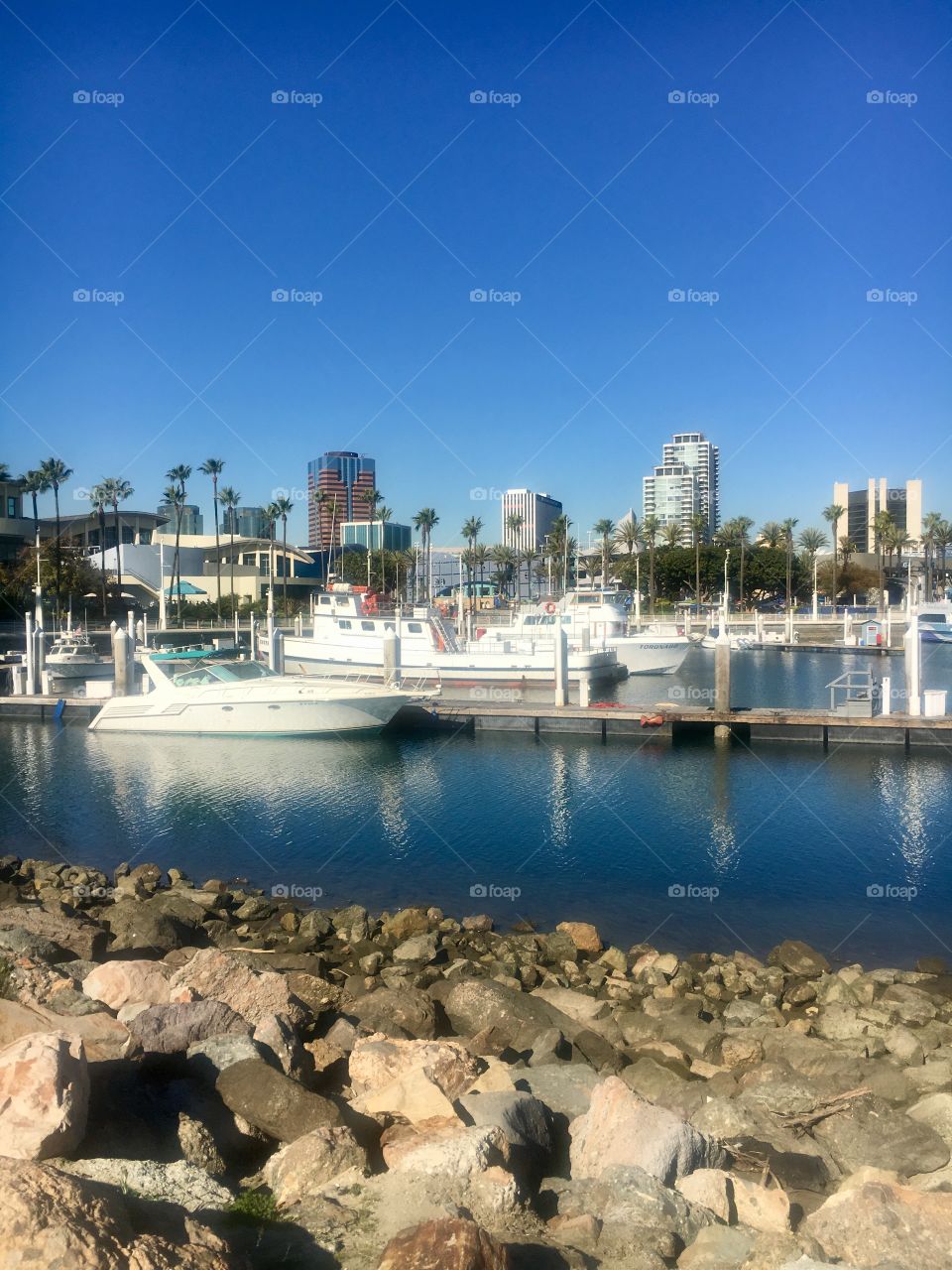 Beautiful Long Beach Skyline