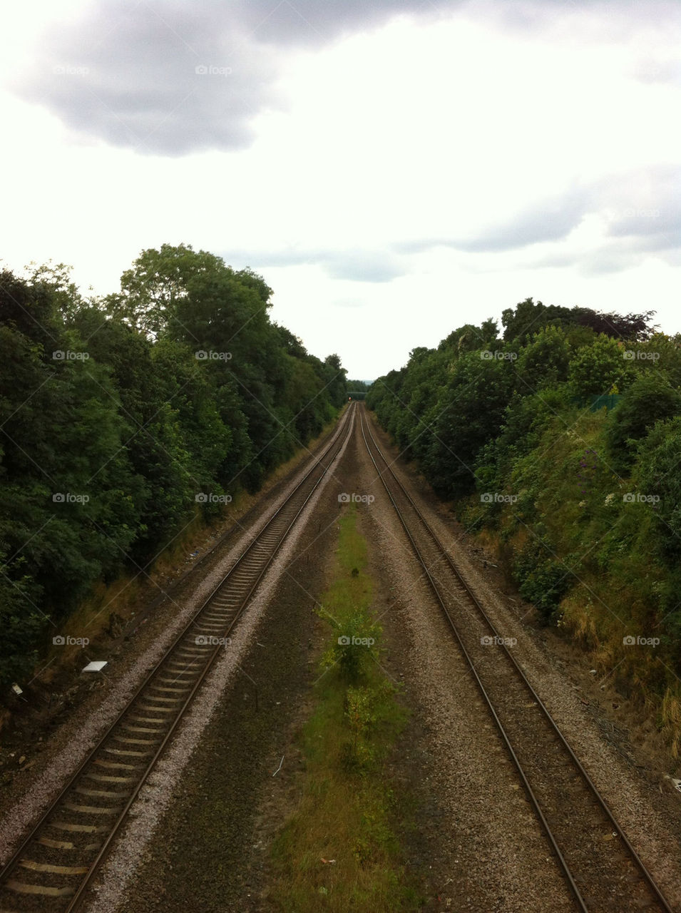 trees train lines railway by emmam