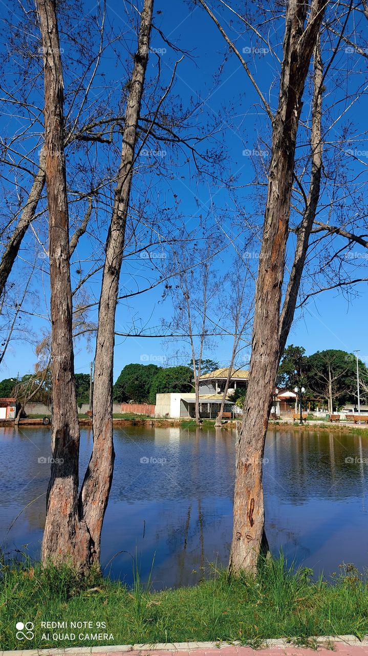 É fantástica a natureza