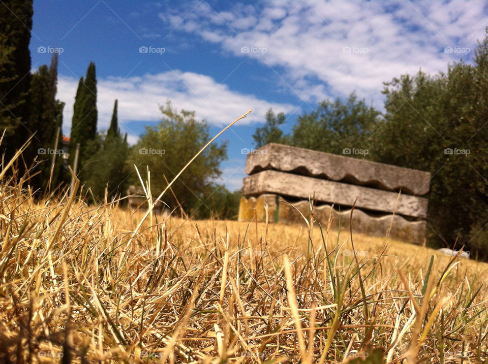 sky green blue grass by munda.net