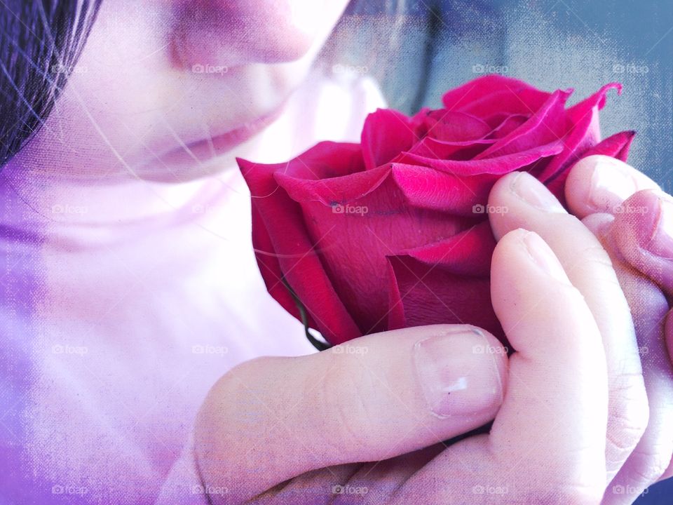 Precious Rose
