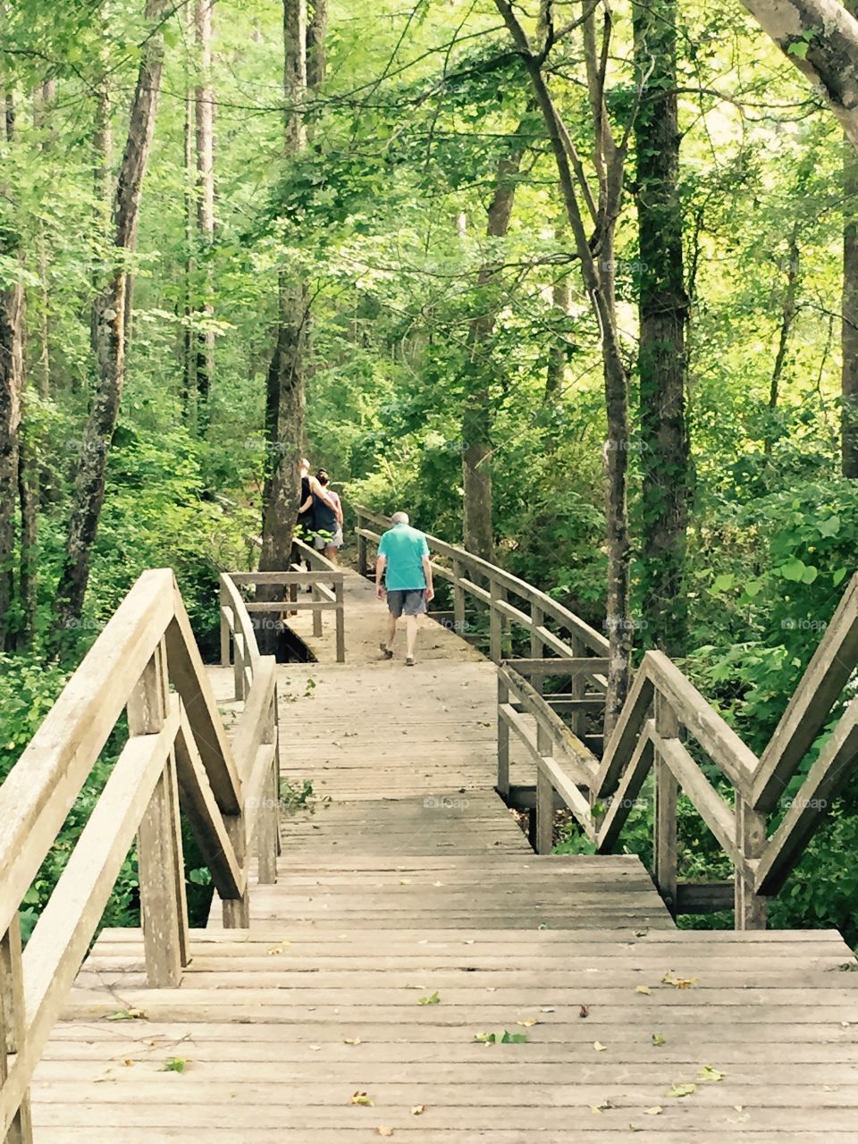 A wooden walk bridge through the Georgia woods.