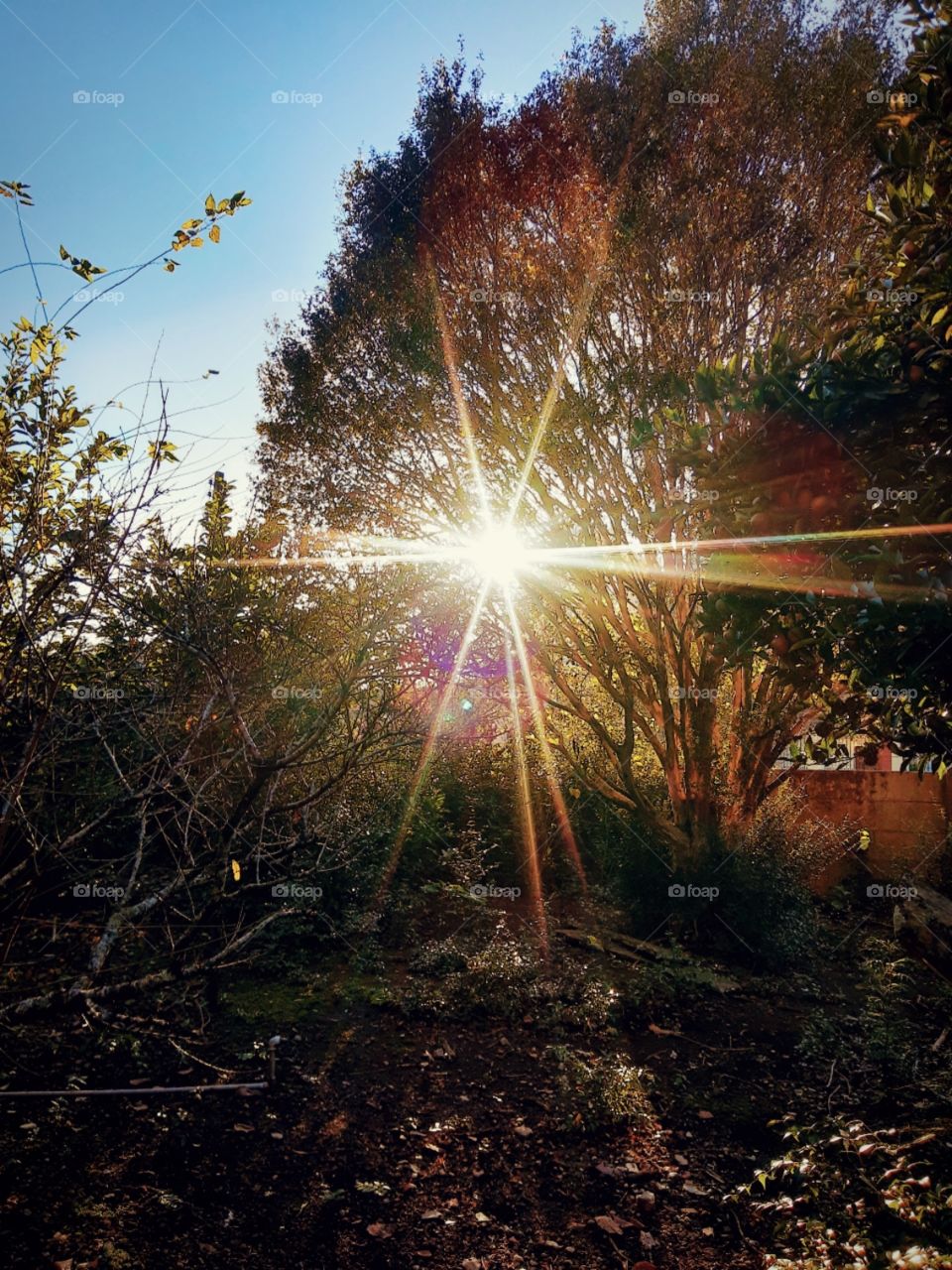 a sunset in the fall