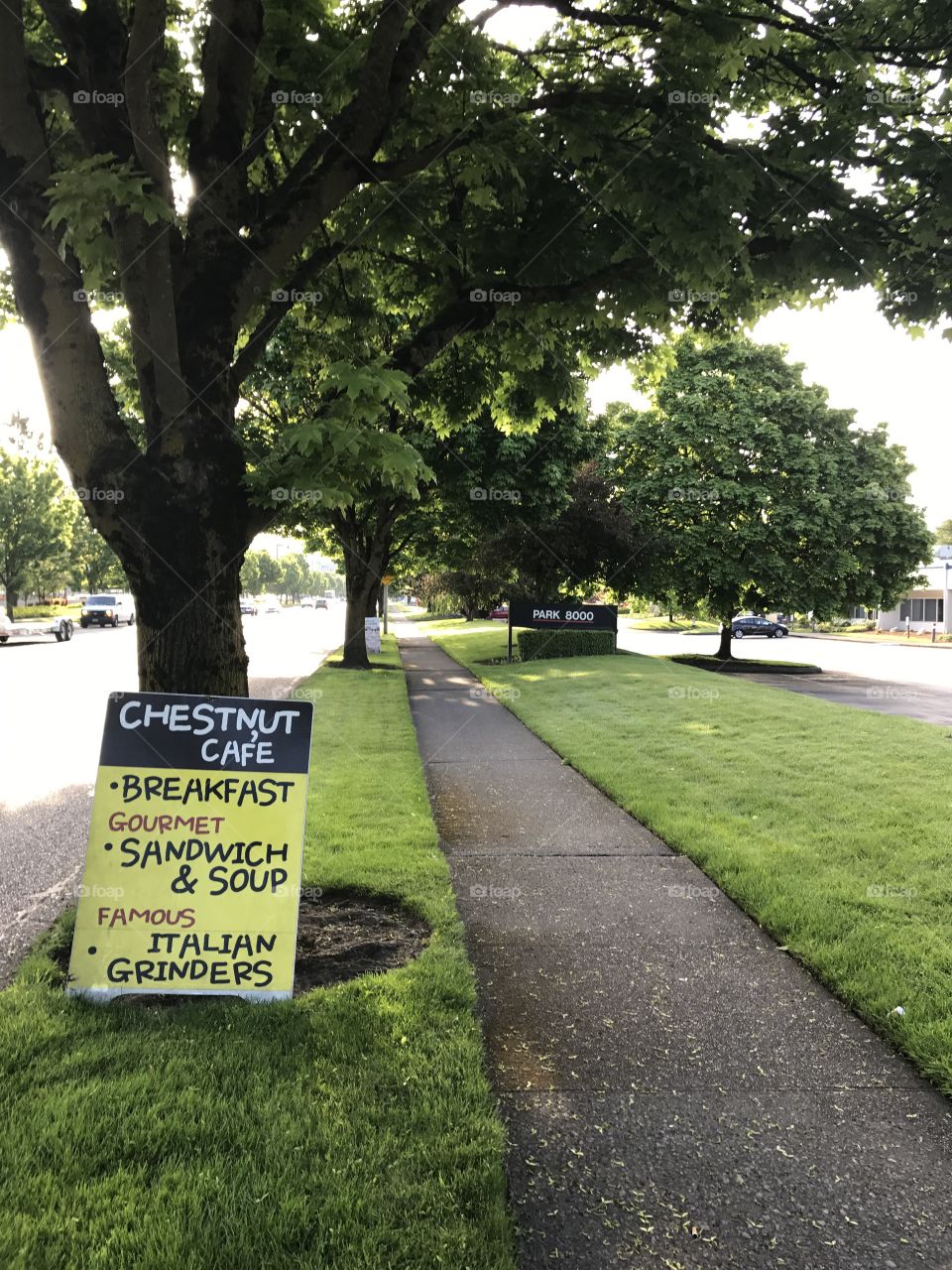 A sidewalk on the way to my bus stop.