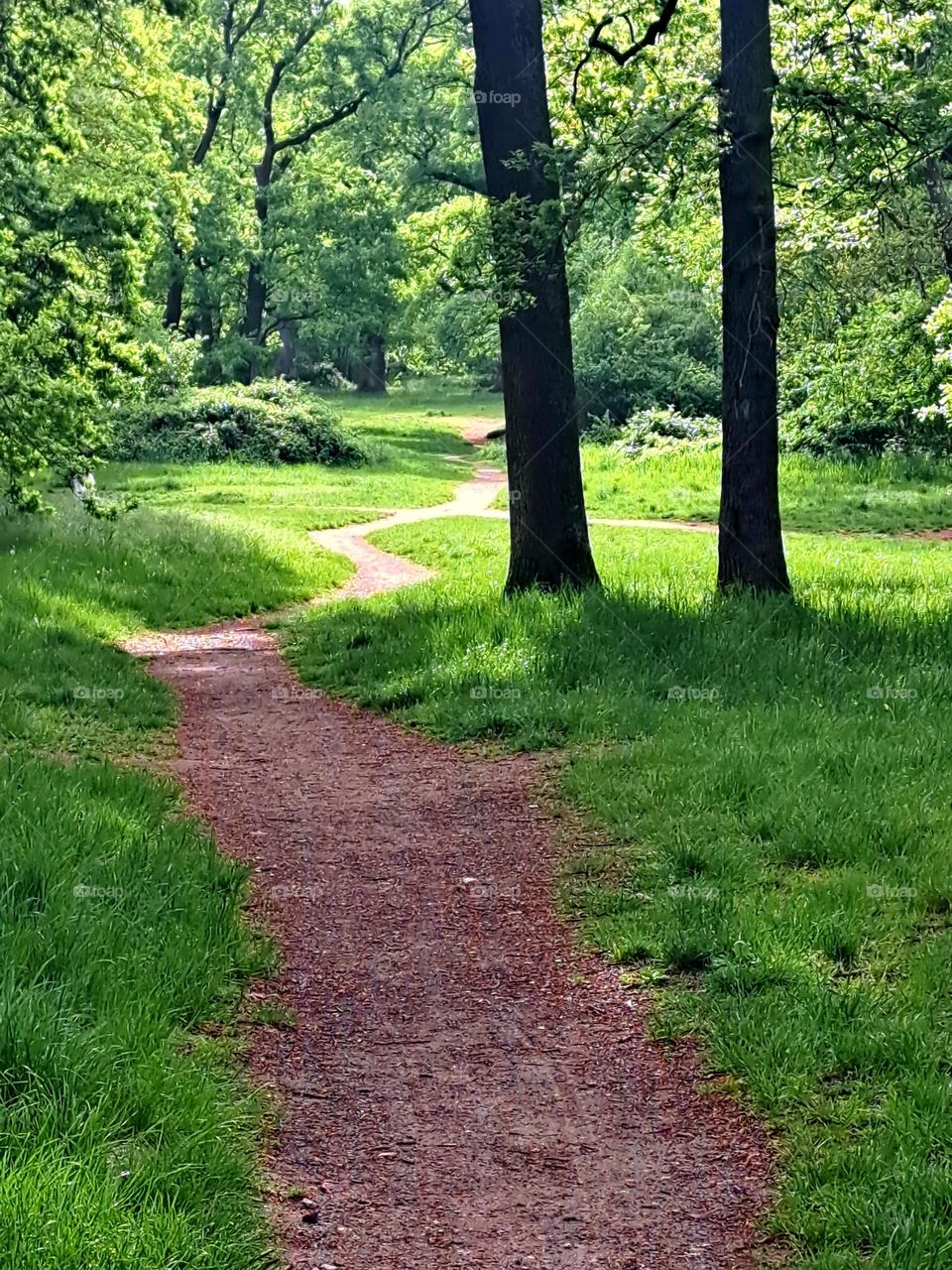 red walkway in a green nature