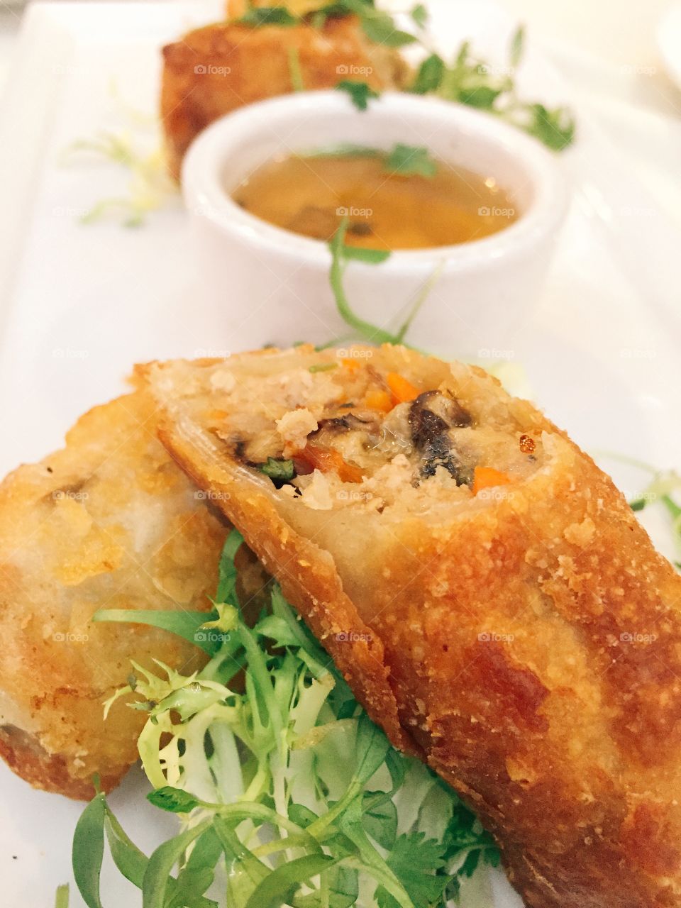 Asian spring rolls on plate