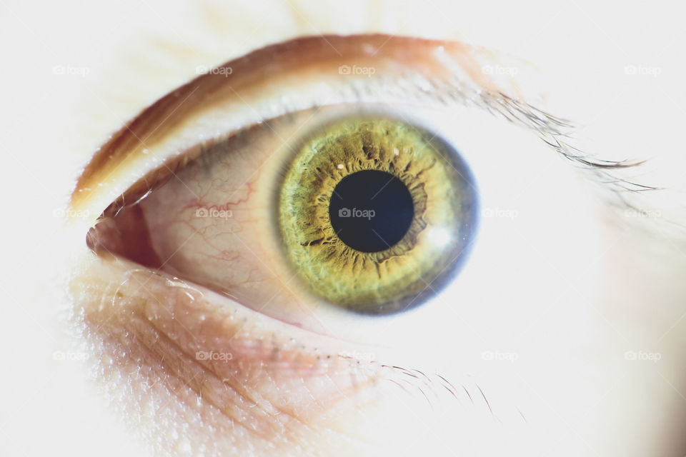 Beautiful and detailed close-up of a hazel-green eye