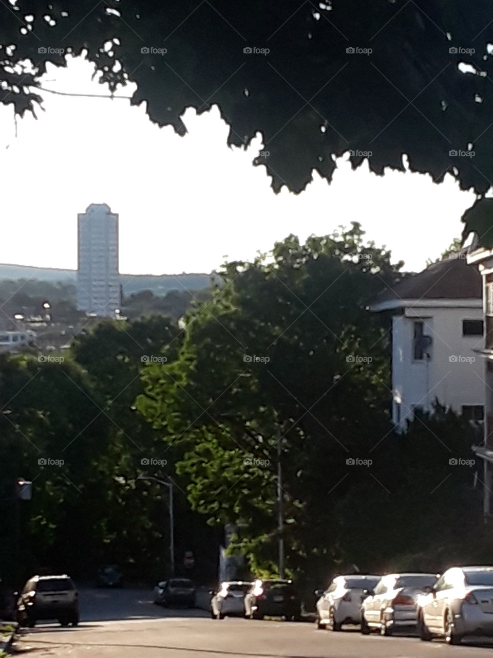 Downtown Worcester Ma