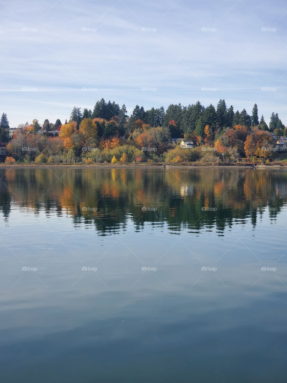 Autumn trees reflection in the bay