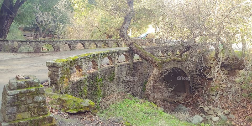 Beautiful Alum Rock Hiking Trail Bridge. Gorgeous Day. Next to a Serene Creek. So Green and So Lively.