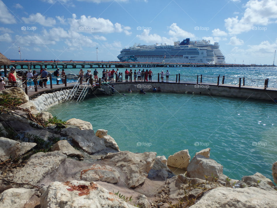Costa Maya Mexico dolphns