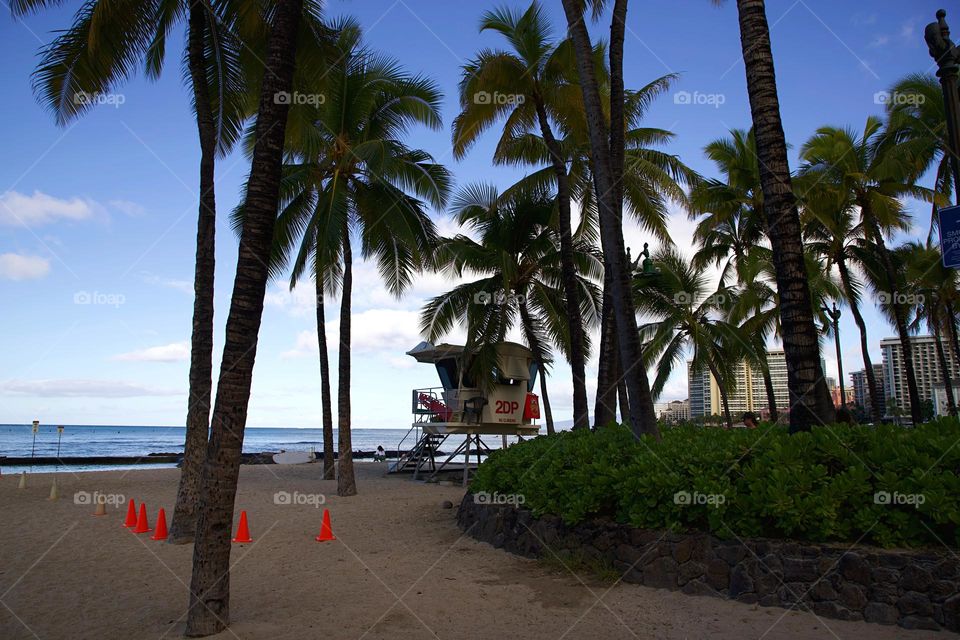 Waikiki beach 