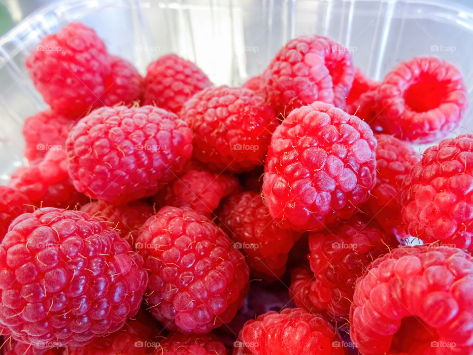 Raspberries in a punnet. Raspberries in a punnet, packaged fresh from farm to supermarket. A closeup image.