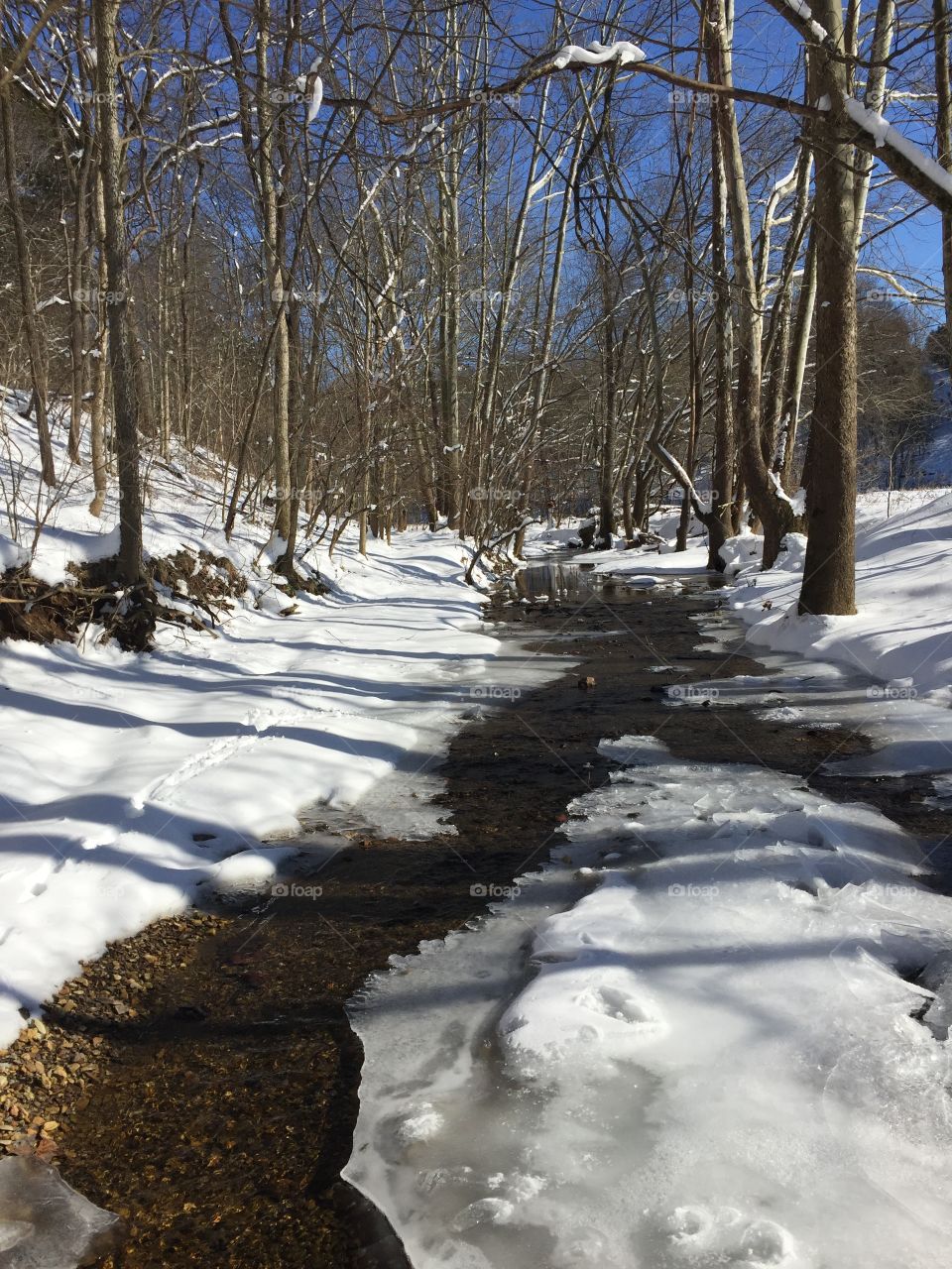 Stream in winter
