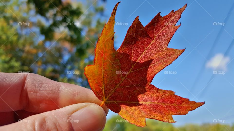 Fall is around the corner🍁