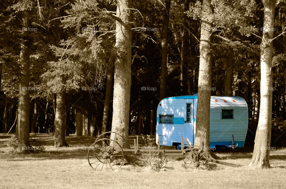 Take the Nostalgic Way Home ( Series )