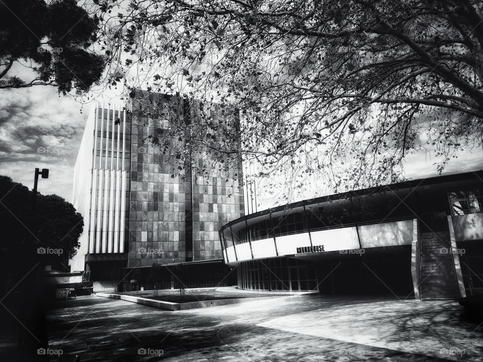 Monochrome image taken in the grounds of the University of New South Wales, Sydney, Australia. The Roundhouse Building is to the right and the Science and Engineering Building (SEB) is in the distance.