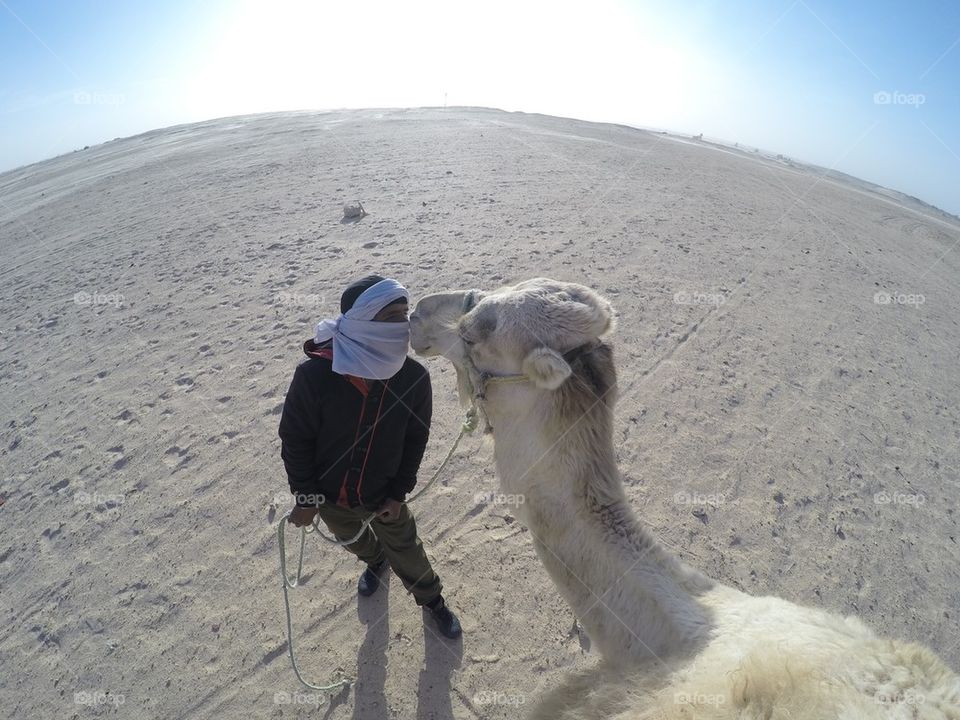 Camel ride in the Sahara desert in Tunisia
