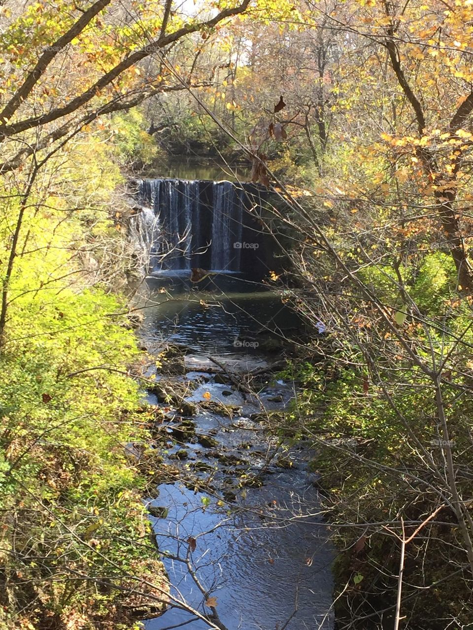 Cedar Cliff Falls