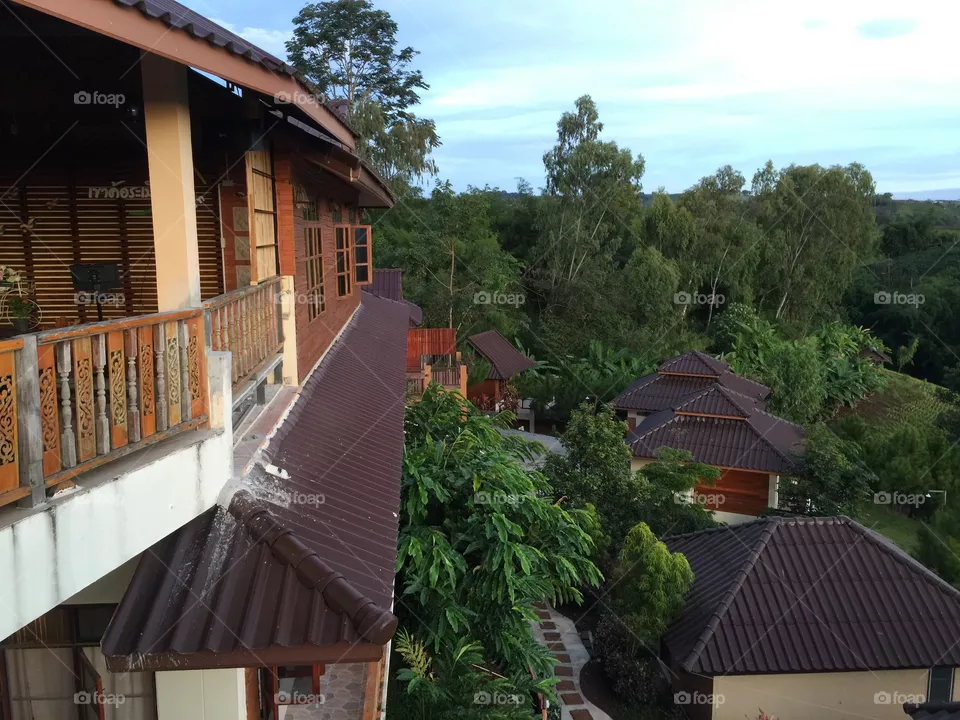 View
