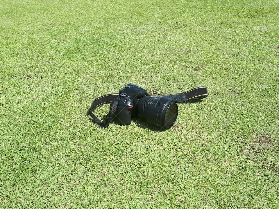 Camera isolated on green grass background