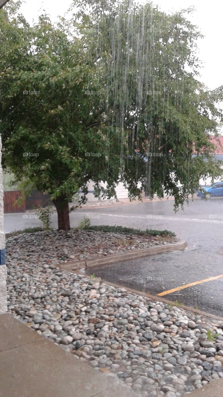 wet weather in Denver