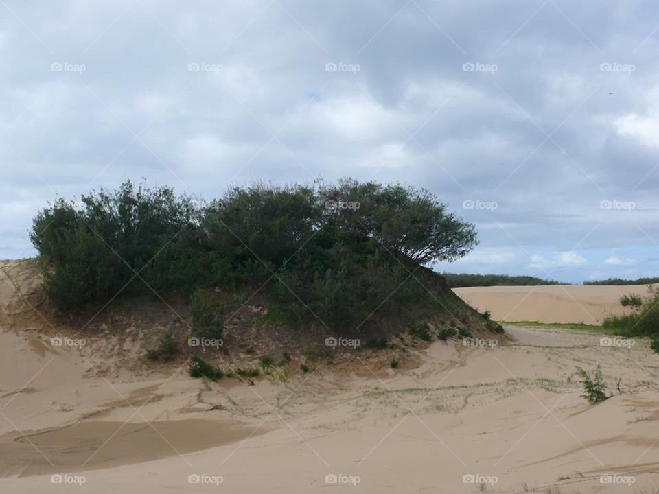 Sandy Bush Headland 