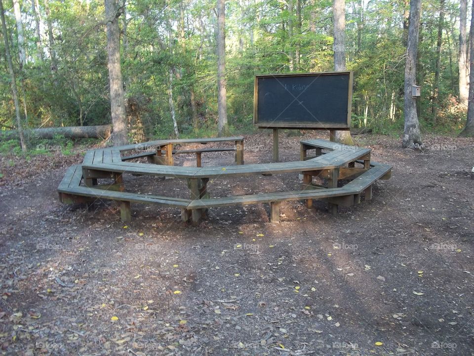 classroom in the woods