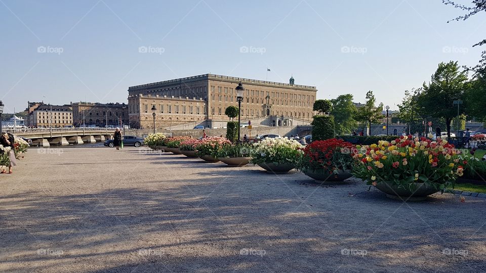 Stockholm Royal Palace Sweden - Stockholms slott Kungsträdgården Stockholm Sverige 