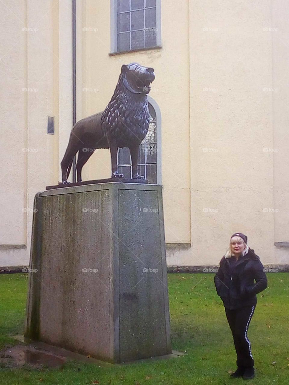 Basilikum Weingarten