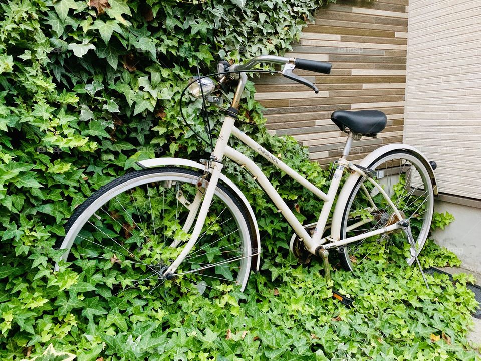 Vintage Bicycle in the garden full of leaves. 