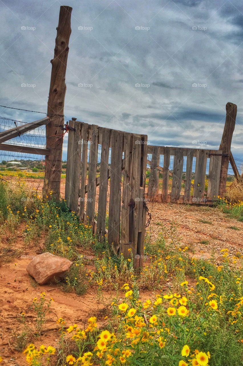 Old fence