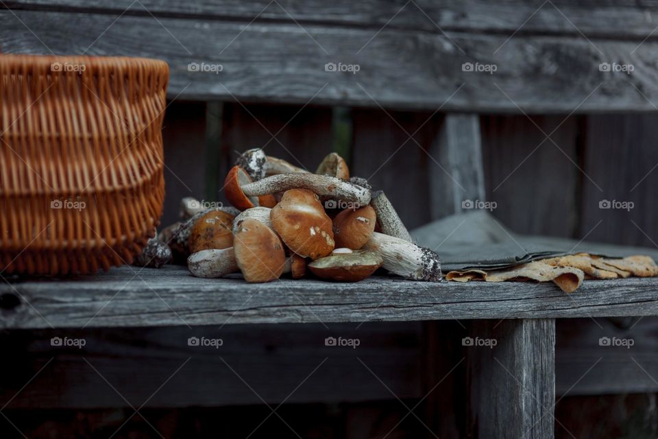 Mushrooms in a bench