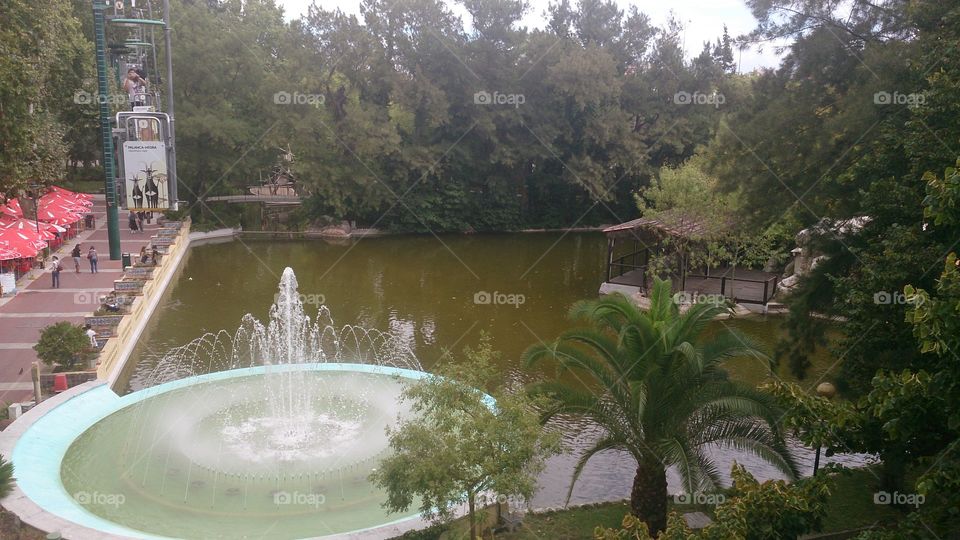 zoo lake. the lake of the zoo