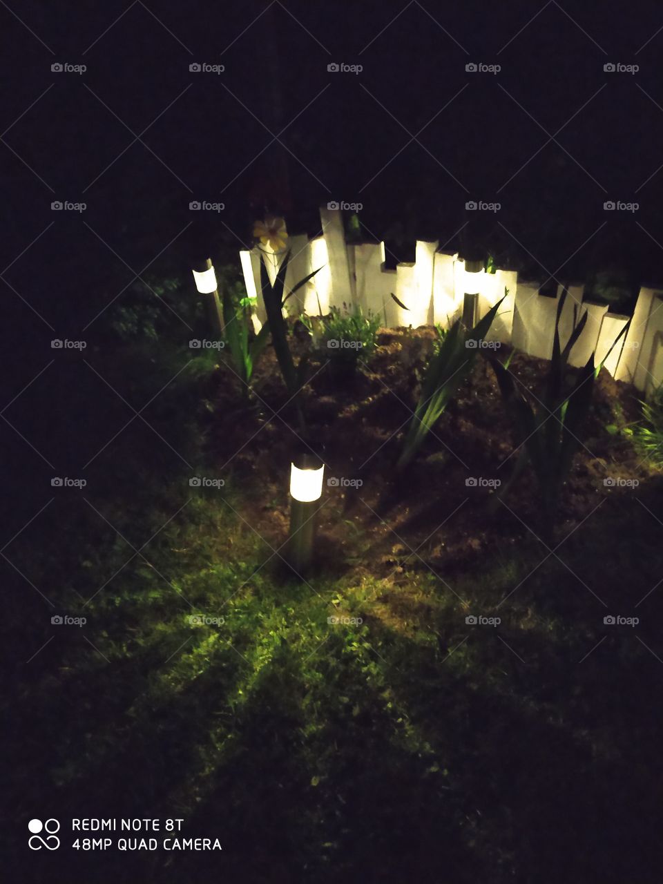 flower bed by by night