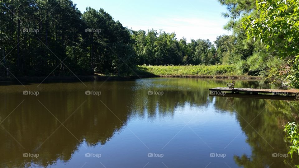 Sunday afternoon at the pond. working near this pond