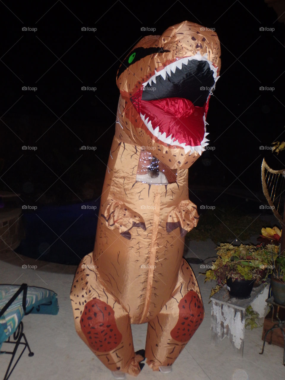 TRex dinosaur costume