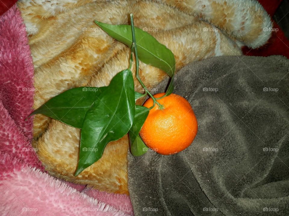 Delicieu mandarine